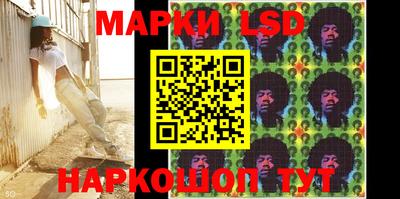 гидропоника Будённовск