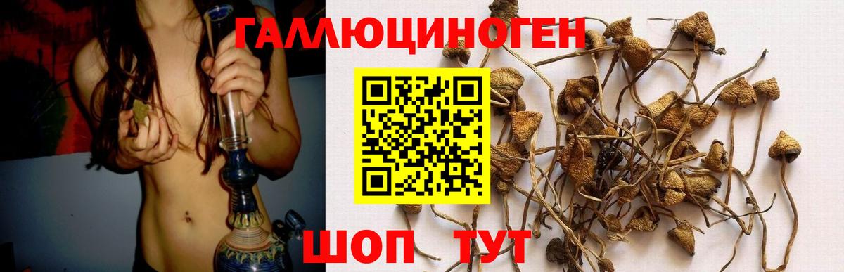 Псилоцибиновые грибы мухоморы Красноперекопск